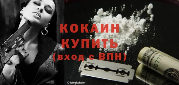 индика Алексеевка