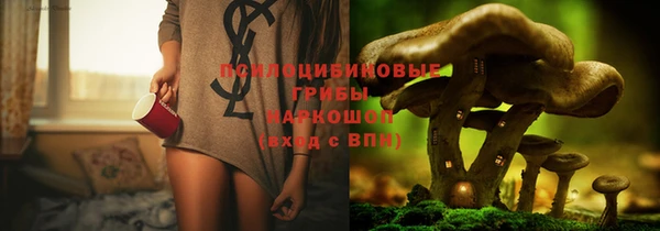 индика Алексеевка