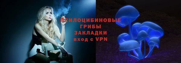 индика Алексеевка