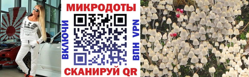 Купить где  Новосибирск  Псилоцибиновые грибы ЛСД 